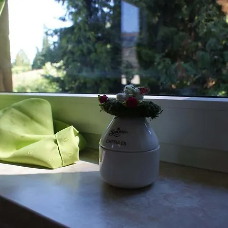 In Oelsnitz-erzgebirge Apartman *